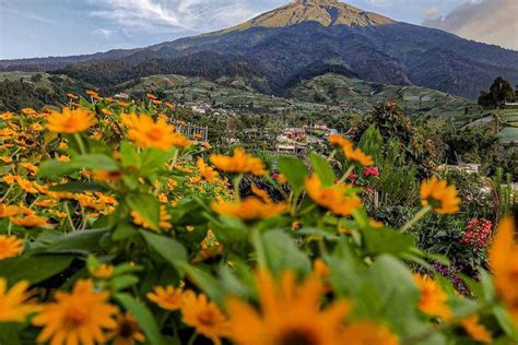 3 Rekomendasi Tempat Wisata Di Magelang Terbaru Yang Lagi Hits Ramah