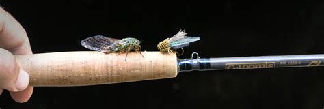 Silverwater Fly Fishing Design Silicone Wing Cicada Fly Pattern