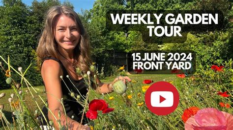 Weekly Garden Tour 16 June 2024 Front Yard Youtube