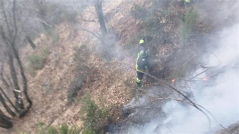 Domodossola Spento Lincendio A Monteossolano A Fuoco Ettari Di