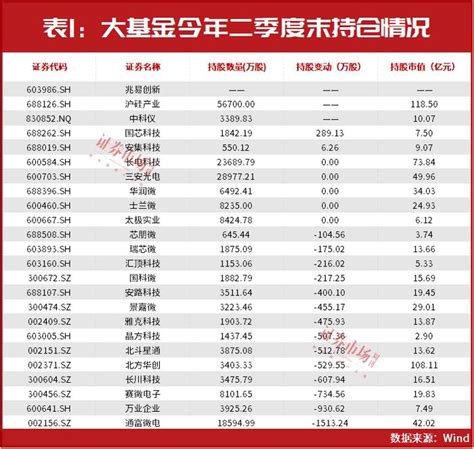 国家大基金出手终止减持新进重仓这些公司股价有望大涨30以上财经头条