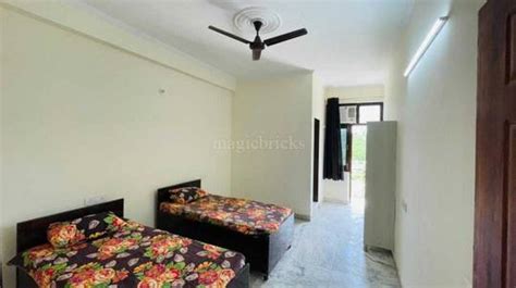 Friendly View PG Hostels In Block F Sector Alpha 2 Greater Noida