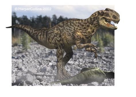 Monolophosaurus Pictures & Facts - The Dinosaur Database