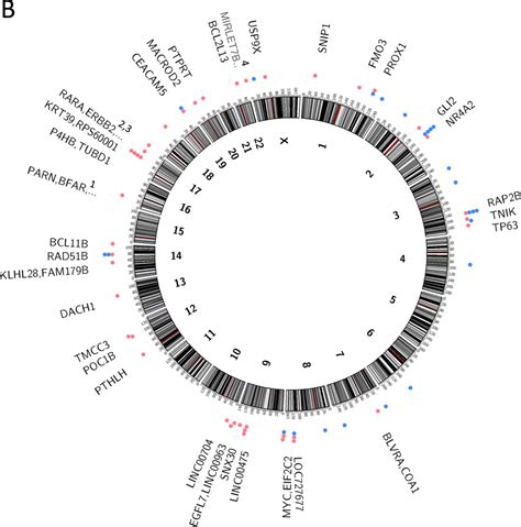 Genomic Landscape Of Human Papillomavirus Associated Cancers Abstract Europe Pmc