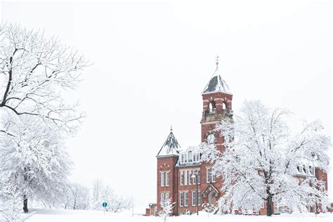 Miller School of Albemarle