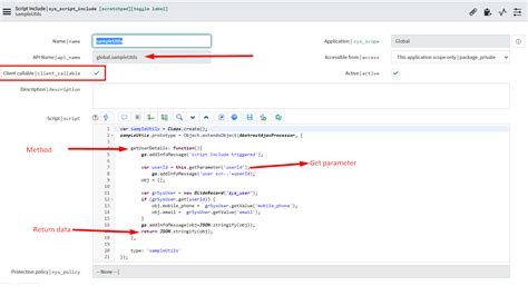 How To Call Script Include From Client Script S Servicenow