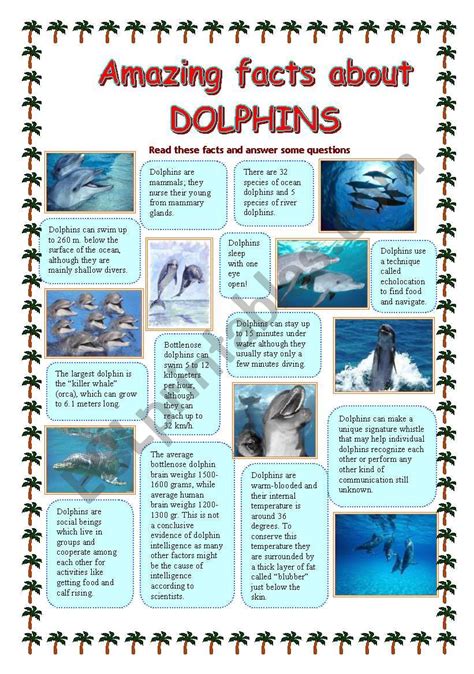 Amazing facts about DOLPHINS - ESL worksheet by Makol