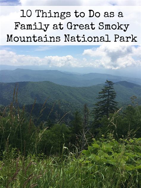 Taking A Great Smoky Mountains Trip With Kids