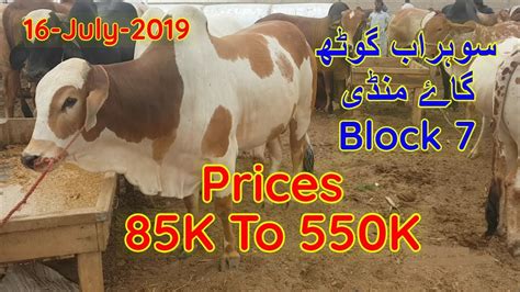 Sohrab Goth Cow Mandi Block Prices Update July Youtube