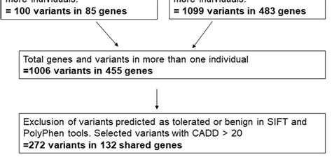 Pipeline of selected variants obtained by whole exome sequencing of 12 ...