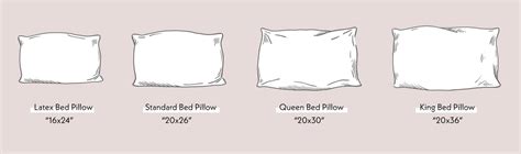 Pillow Insert Size Guide Chloe Olive, 55% OFF