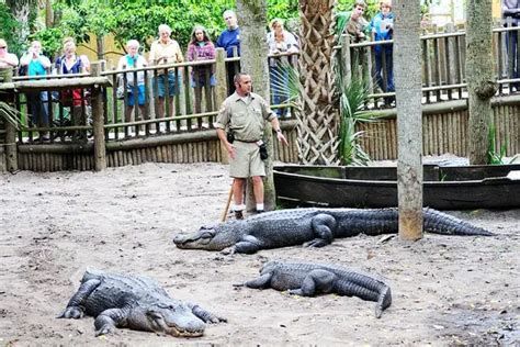 15 cosas divertidas para hacer en Florida con niños las mejores