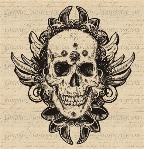 Steampunk Skull Drawing at PaintingValley.com | Explore collection of ...