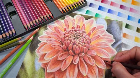 Cómo Usar Solventes Con Lápices De Colores Dibujos Realistas Gemma Chambers Skillshare