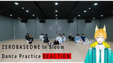 Zerobaseone In Bloom Dance Practice Reaction