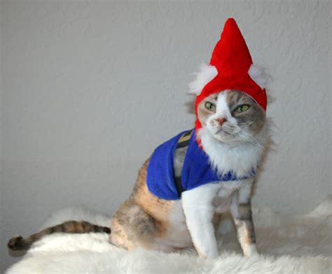 Traveling Gnome Cat Catssss Pinterest Cats Costumes And Traveling