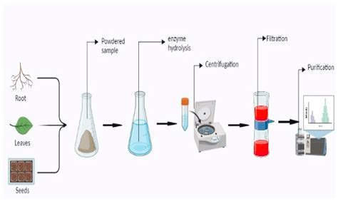 Molecules Free Full Text Major Phytochemicals Recent Advances In