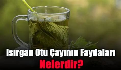 Pancar Suyu Faydalar Nelerdir Fit Ve Form