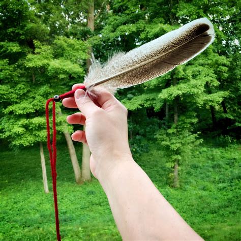 Native American Feather