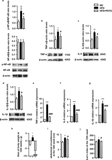 Inhibition Of Nf κb Reduced Pro Inflammatory Cytokines Production In