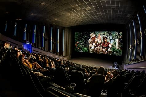 Ve la famosa película Amélie musicalizada con orquesta en vivo