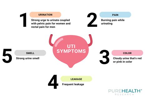 How Long Does A UTI Last PureHealth Research