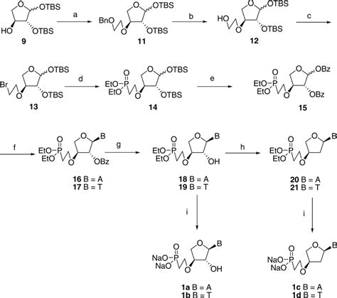 Scheme 2 A Triflate Of Monobenzylglycol Nah Thf B Pd C 10 H Download Scientific