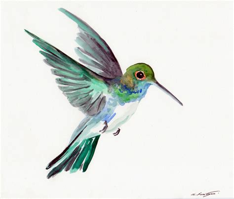 Hummingbird Original Watercolor Painting X Tropical