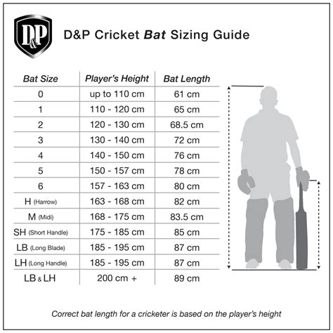 Dandp Vector 300 Cricket Bat Full Grain Cover Cricketstuff