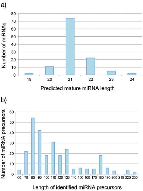 Figure 2 From In Silico Identification And Characterization Of