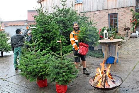 Stipendium Peer Ich stimme zu getopfte weihnachtsbäume Stirnrunzeln