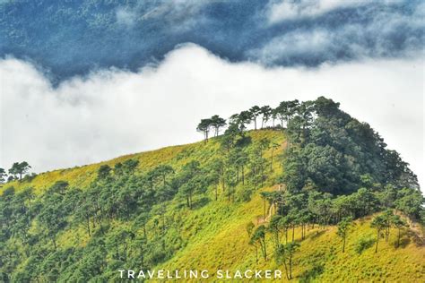 Sielkal Trek Tumjang Dima Hasao Assam The Travelling Slacker