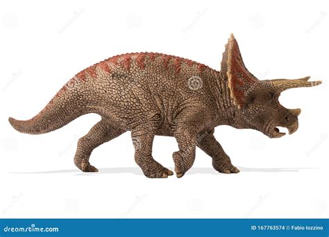 Triceratops Isolated On White Background Lateral View Stock Photo