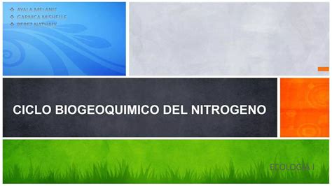 Ciclo Biogeoquimico Del Nitrogeno Ppt