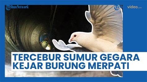 APES Pria Klaten Ini Tercebur Sumur Sedalam 15 Meter Saat Kejar Burung