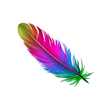 Colorful Bird Feather 21357769 Png