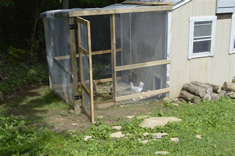 Backyard Chicken Coop (Our Easy Strong DIY Build) - Whole Made Living