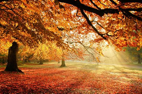 Frosty Autumn Morning Wallpapers Wallpaper Cave