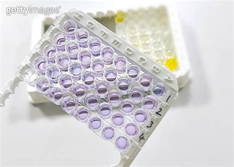 Enzyme Linked Immunosorbent Assay Elisa Plate Immunology Or Serology