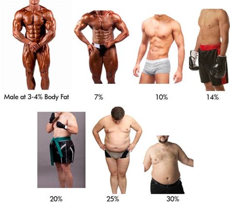 Check Your Body Fat Percentage Online Body Fat Percentage Calculator For Women And Men