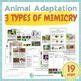 Animal Adaptations- 3 Types of Mimicry: Batesian, Mullerian and Self-mimicry