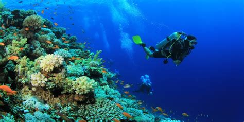 Tiran Island Snorkeling | Sharm El Sheikh Snorkeling