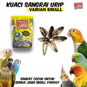 Jual Dijual KWACI SANGRAI UNTUK BURUNG KAKATUA SUN CONURE FALK 1KG