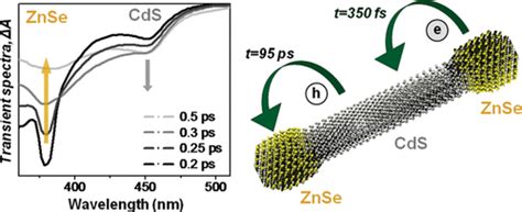 Ultrafast Carrier Dynamics In Type Ii Znse Cds Znse Nanobarbells Acs Nano