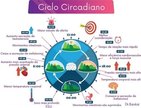 O Que É Ciclo Circadiano - Como Funciona O Ciclo Circadiano | Blog do Dr. Barakat