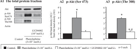 Figure From The Modulation Of Vascular Atp Sensitive K Cid