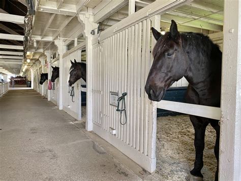 Big Barn & Trolley Tour - Kentucky Horse Park