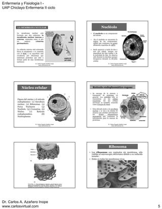 LA CELULA THE CELL PDF