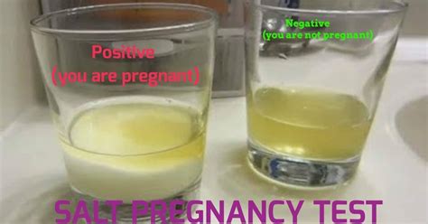 Home Pregnancy Test With Vinegar