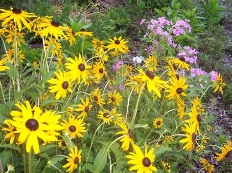 Memorial Garden — North Canton Community United Methodist Church